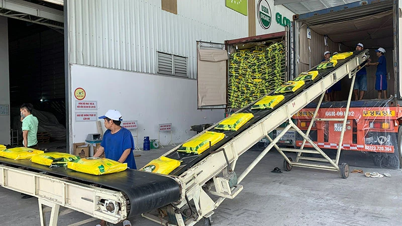 Đóng gói gạo xuất khẩu ở Công ty cổ phần Nông nghiệp công nghệ cao Trung An, TP Cần Thơ. (Ảnh MINH ANH)